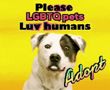 a picture of a dog with the words please lgbtqpets luv humans above it