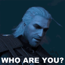 Who Are You Geralt Of Rivia GIF - Who Are You Geralt Of Rivia The Witcher GIFs