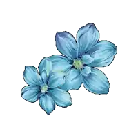 two blue flowers on a white background with a yellow center