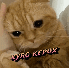 Xyro Kepox Xyrokepox GIF - Xyro Kepox Xyro Xyrokepox GIFs