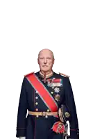 a man in a military uniform with medals on his chest