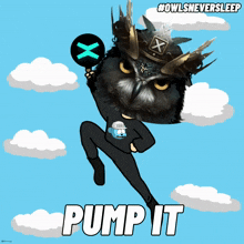 Pump It Flying GIF - Pump It Pump Flying GIFs