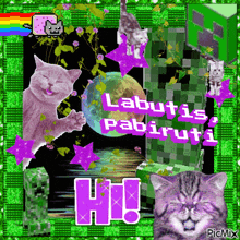 a collage of cats and a creeper says labutis pabiruti hi