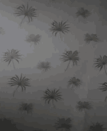 a wall with a pattern of spiders on it