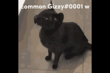 Gizzy Gizzysoul GIF - Gizzy Gizzysoul Common W GIFs