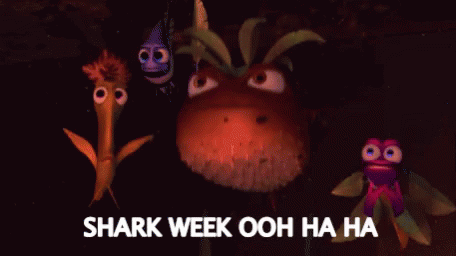 shark week period joke