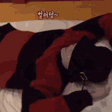 Fmyoonie Yoongi Sleeping GIF - Fmyoonie Yoongi Sleeping GIFs