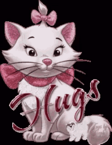 Hugs Cat GIF - Hugs Cat Greeting GIFs