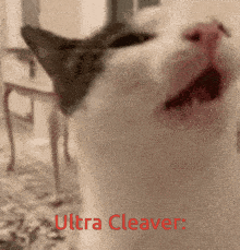 Ultra Cleaver Revenant GIF