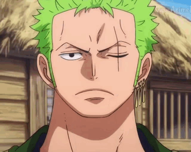 Zoro One Gorilla Attack GIF