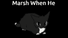 when marsh