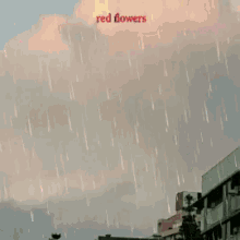 Red Flowers GIF - Red Flowers GIFs