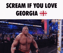 Georgia Scream If You Love Georgia GIF - Georgia Scream If You Love Georgia Georgian GIFs
