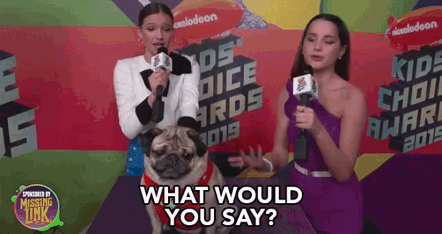 What Would You Say Interview GIF - What Would You Say Interview Whats Your Opinion GIFs