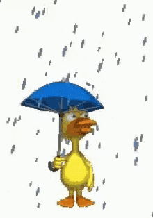 Duck Raining GIF - Duck Raining Umbrella GIFs