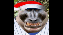 a monkey is wearing a santa hat and a baseball jersey