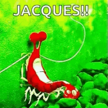 I Am Ashamed Jacques GIF - I Am Ashamed Jacques Finding Nemo GIFs