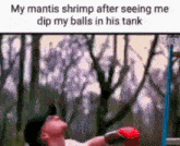 Mantis Shrimp Balls GIF - Mantis Shrimp Balls GIFs