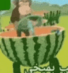 Watermelon Monke GIF - Watermelon Monke Monke In A Watermelon Train Wtf This Is Crazy GIFs