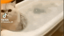 a cat is taking a bath in a bathtub filled with water .