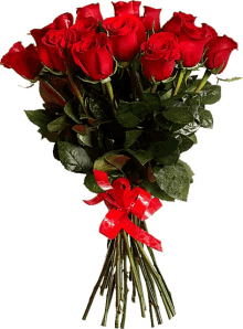 Red Roses GIF - Red Roses Bouquet GIFs