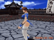 Dead Or Alive Video Games GIF - Dead Or Alive Video Games Japan GIFs