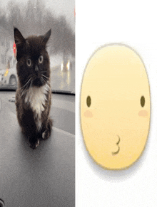a picture of a cat next to a picture of a smiley face with the number 3