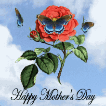Happy Mothers Day Mothers Day Red Rose GIF - Happy Mothers Day Mothers Day Red Rose Mothers Day Butterflies GIFs