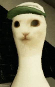 a white cat wearing a green hat is looking at the camera ..