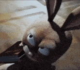 a close up of a stuffed bunny rabbit with a book in its mouth
