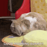 a bunny is laying on a mat and says good morning bunny !