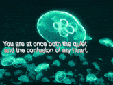 a bunch of jellyfish with a quote that says you are at once both the quiet and the confusion of my heart