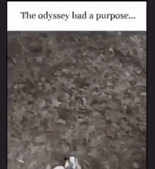 Odessy Odyssey GIF - Odessy Odyssey Odyssey Had A Purpose GIFs
