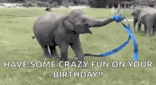 Elephant Happy Birthday GIFs | Tenor