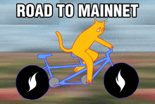 Road Bicycle GIF - Road Bicycle Cat GIFs