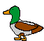Onte Duck Sticker - Onte Duck Ente Stickers