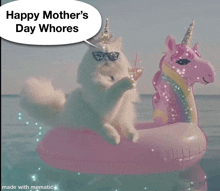 a cat is sitting on a pink unicorn inflatable float