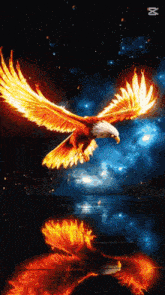 a bald eagle is flying through the air with flames coming out of it 's wings