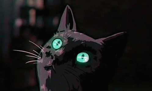 黒猫 まばたき Gif 黒猫 まばたき アニメーション Discover Share Gifs