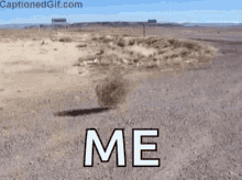 Tumbleweed Desert GIF - Tumbleweed Desert Deserted GIFs