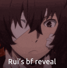 a close up of a person 's face with the words rui 's bf reveal