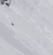 Skier Fall GIF - Skier Fall Skiing GIFs