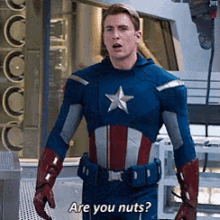Chris Evans Captain America GIF - Chris Evans Captain America Are You Nuts GIFs