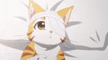 a cartoon cat with a bandage on its head