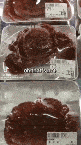 Crab Rave Crab Moving In Plastic GIF - Crab Rave Crab Moving In Plastic Just A Reminder Y'All The Crab Is Moving GIFs