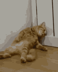GIF