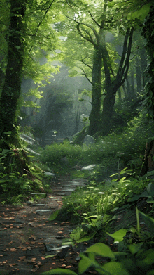 Fantasy Forest Fantastic GIF