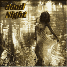 Good Night Images GIF - Good Night Images GIFs