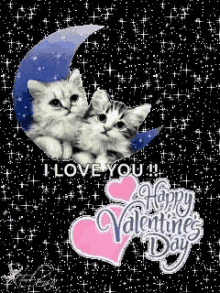 Happy Valentines Day Valentine GIF - Happy Valentines Day Valentine Happy Valentine GIFs