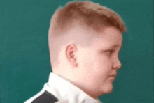 a young boy with a shaved head is standing in front of a green chalkboard .